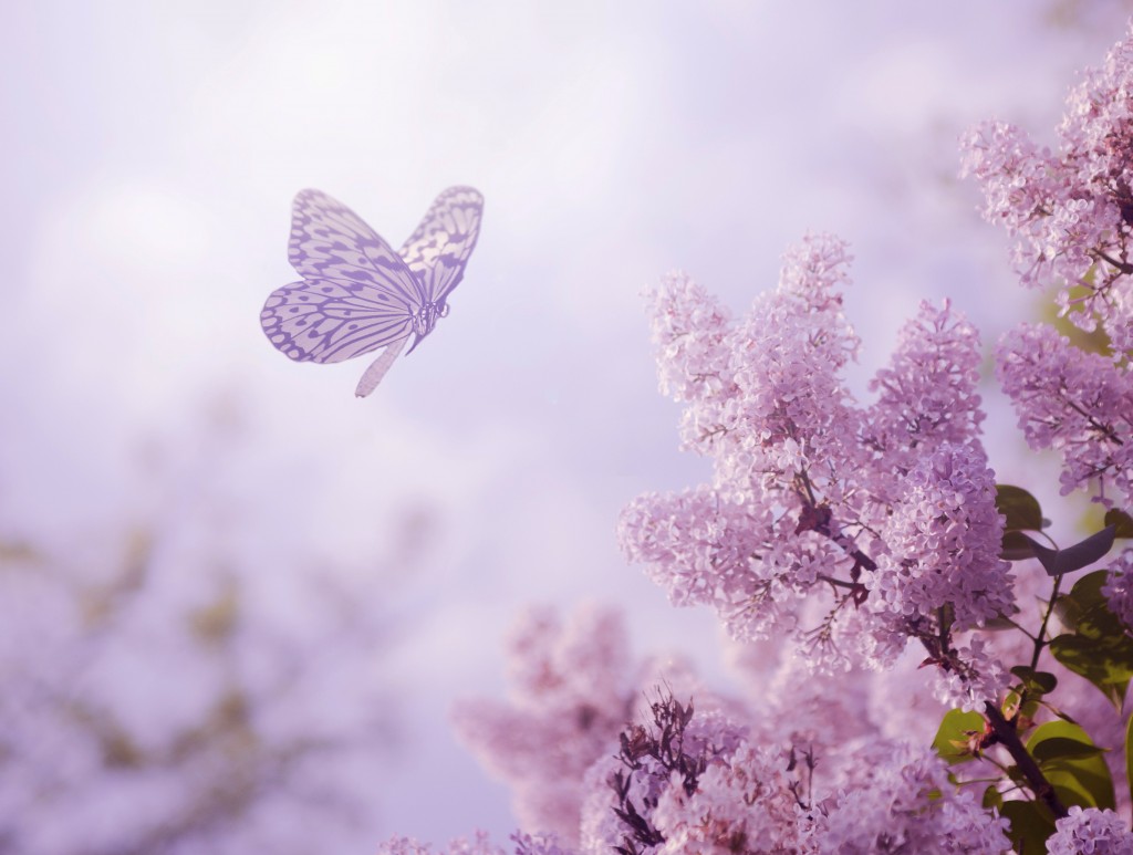 LISAonthego Springtime