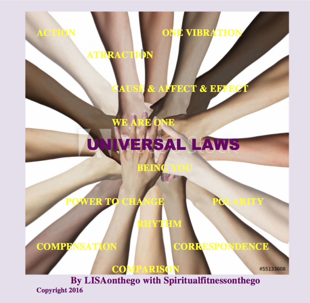 LISAonthego U Laws