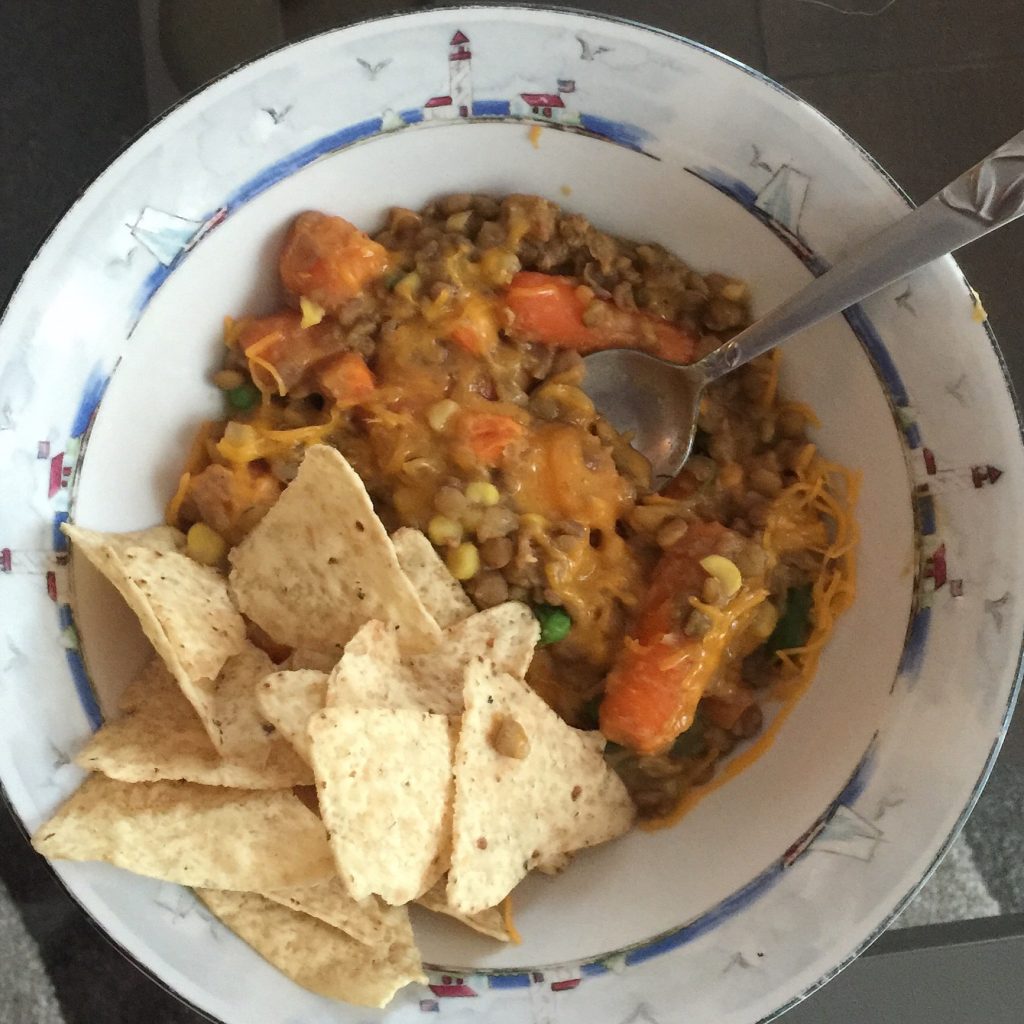 LISAonthego Lentil & Vegetables