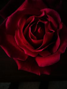 Loved One Passed Away