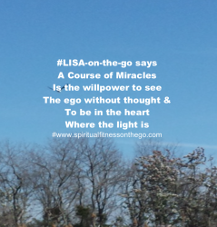#LISA-on-the-go ACIM