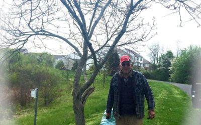 LISAonthego Saved a Tree